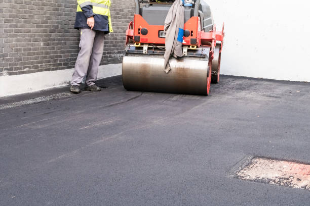 Best Driveway Border and Edging  in Schertz, TX